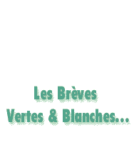 Les commentaires des matchs de Championnat Vert&Blanc !